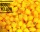 SE-Baits ROGGY  1cm auftreibend Yellow Lachs