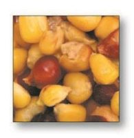 Futterpartikel Corn Mix, 1 kg